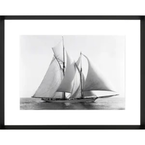 Photoprint Merlin, 1892