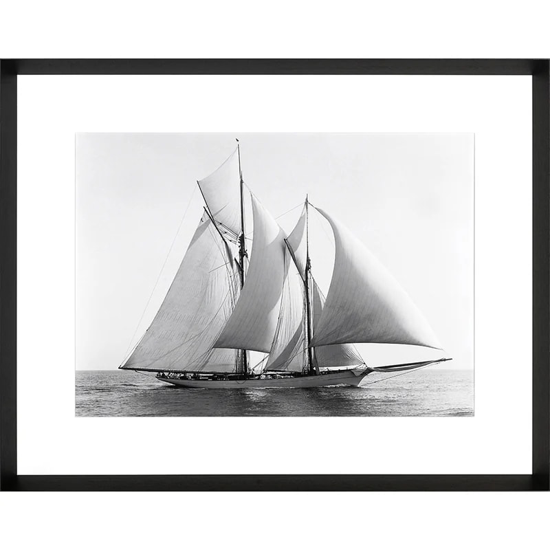Photoprint Merlin, 1892
